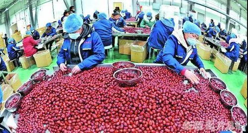 鏈接菜籃子與三農心 中農集團于“十二五”期間以紅色供銷激活全國農產品蔬菜市場新動力