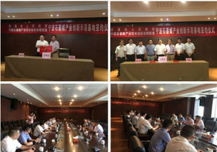 慈溪市與中國石墨烯產(chǎn)業(yè)創(chuàng)新聯(lián)盟簽訂協(xié)議 摁下發(fā)展快進(jìn)鍵 新材料技術(shù)推廣服務(wù)