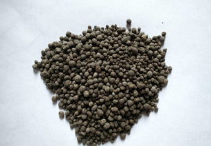 微生物肥料生產基地建設項目可行性研究報告