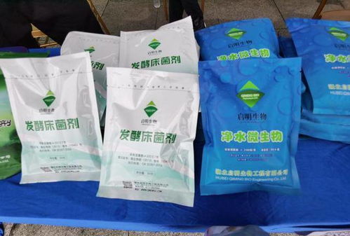 湖北宜都 特色菌種廠墻外花開香四方，微生物肥料開辟農(nóng)業(yè)新天地